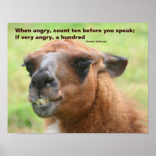Affiches Citation Llama Anger Inspiration