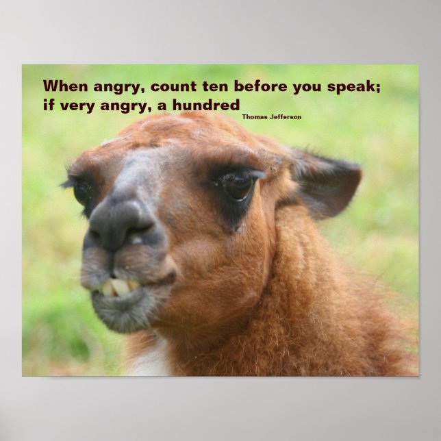Affiches Citation Llama Anger Inspiration (Devant)