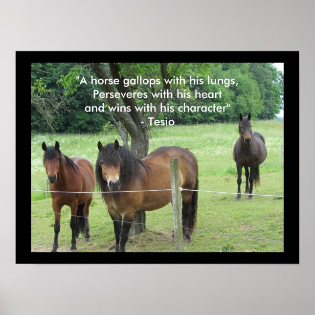 Affiches Citation motivationnelle avec chevaux (Devant)