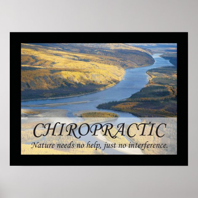 Affiches Citations et déclarations de chiropratique Nature (Devant)
