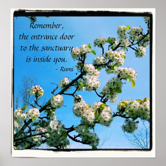 Affiches Citations Sage Floral Printemps (Devant)