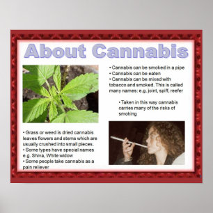 Affiches Citoyenneté, compétences de la vie, dites simpleme