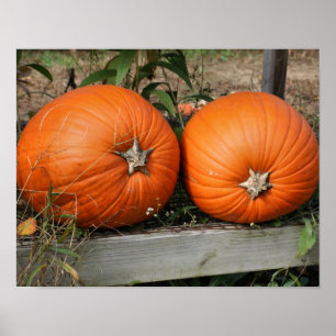 Affiches Citrouille Pair Pays Automne