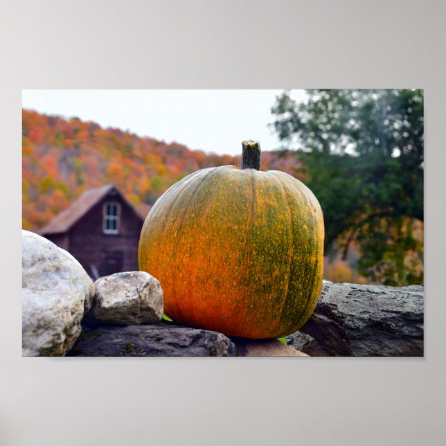 Affiches Citrouille sur Rock Wall au Vermont, automne (Devant)