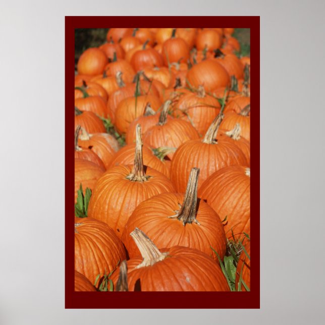 AFFICHES CITROUILLES ! (Devant)