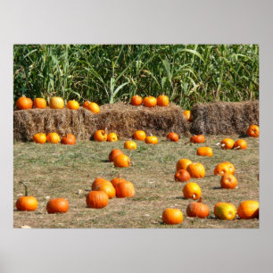 Affiches Citrouilles, maïs et foin Photographie de la récol