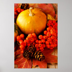 Affiches Citrouilles récoltés avec feuilles d'automne 2