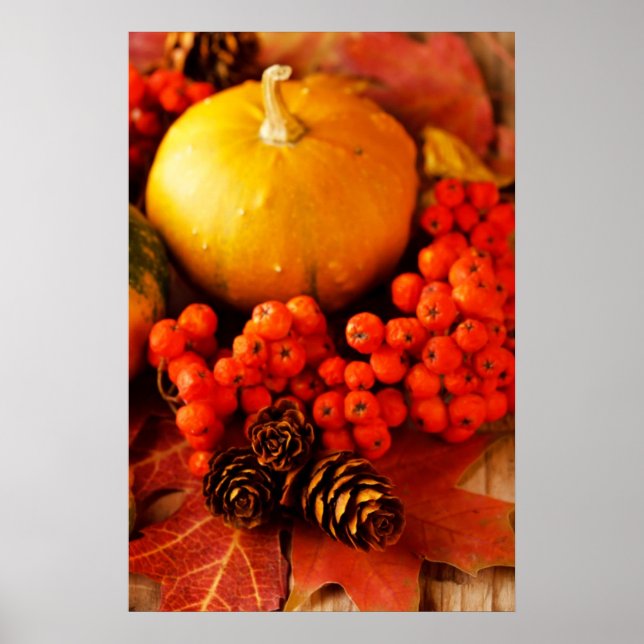 Affiches Citrouilles récoltés avec feuilles d'automne 2 (Devant)