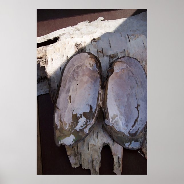 Affiches Clamshell Wings (Devant)