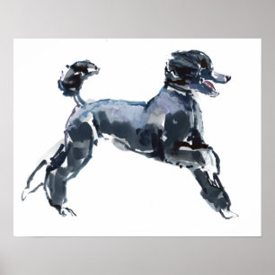 Affiches Classe Sheer 2013