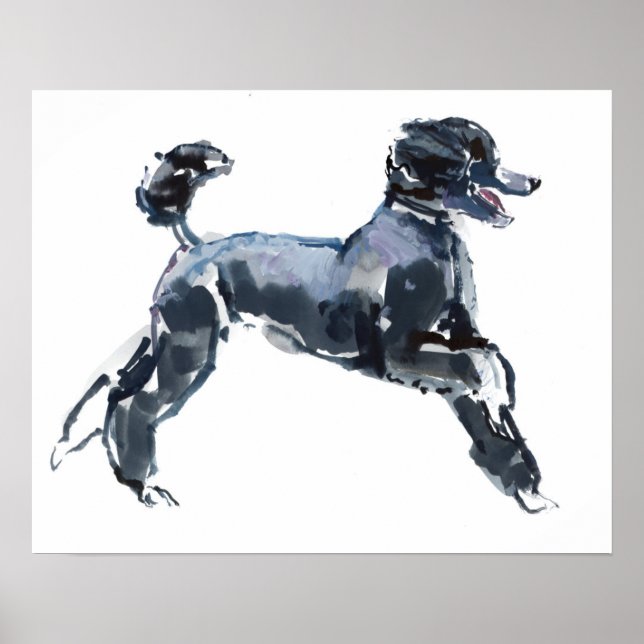 Affiches Classe Sheer 2013 (Devant)