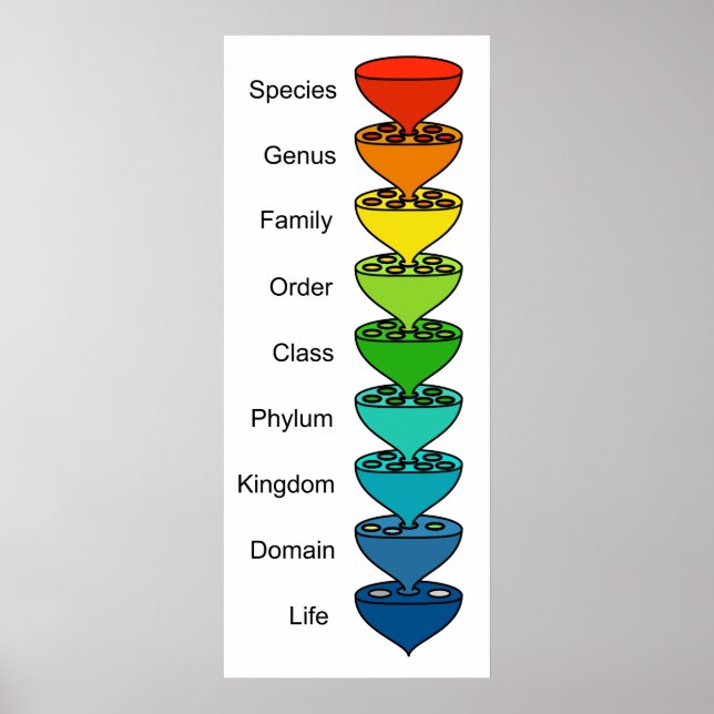 Affiches Classement de la diversité biologique (Devant)