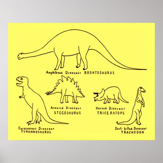 Affiches Classification des dinosaures (Devant)