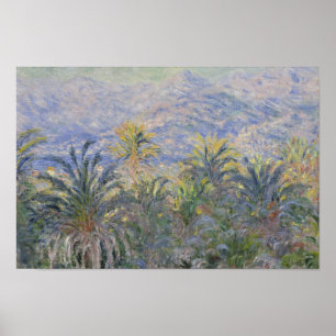 Affiches Claude Monet - Palmiers à Bordighera