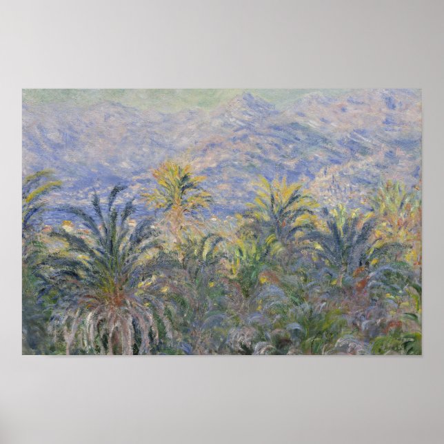 Affiches Claude Monet - Palmiers à Bordighera (Devant)