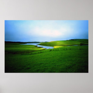 Affiches Clean Green N.Z.