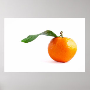 AFFICHES CLEMENTINE