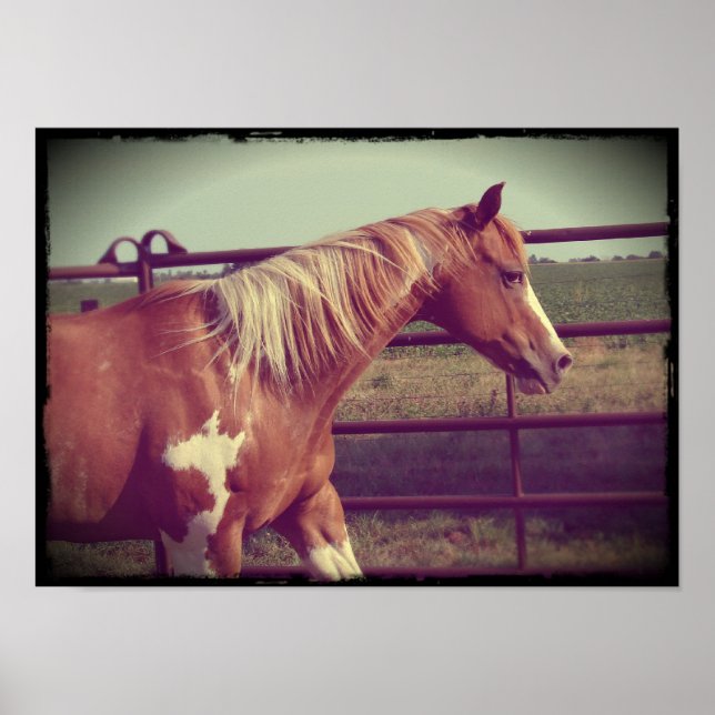 Affiches clinquant (Devant)