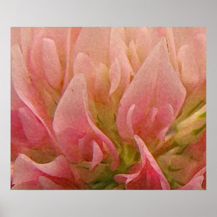 Affiches Clocher rose