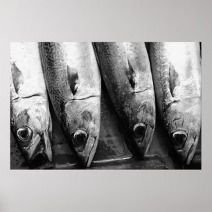 Affiches Closeuse de poisson en noir et blanc