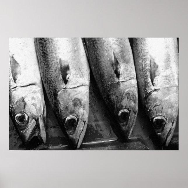 Affiches Closeuse de poisson en noir et blanc (Devant)