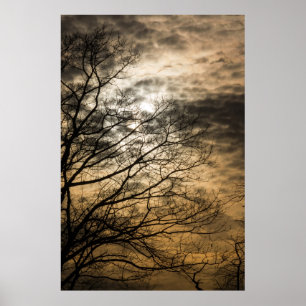 Affiches Cloudy Sun Scene