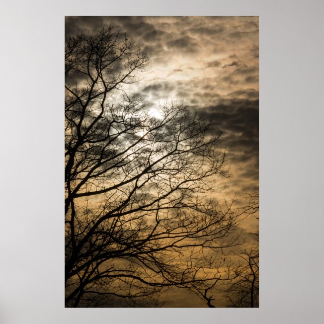 Affiches Cloudy Sun Scene (Devant)