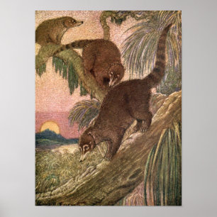 Affiches Coatimundi par Louis Sargent, Animaux sauvages Vin