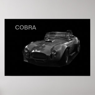 AFFICHES COBRA