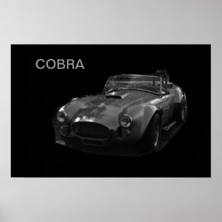 AFFICHES COBRA