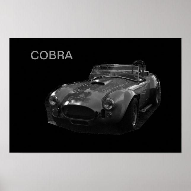 AFFICHES COBRA (Devant)
