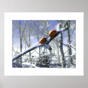 Affiches Coccinelles de Noël
