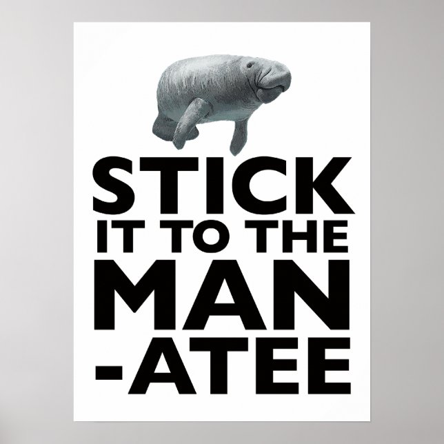 Affiches COCHEZ-LE SUR L'affiche MANATEE (Devant)