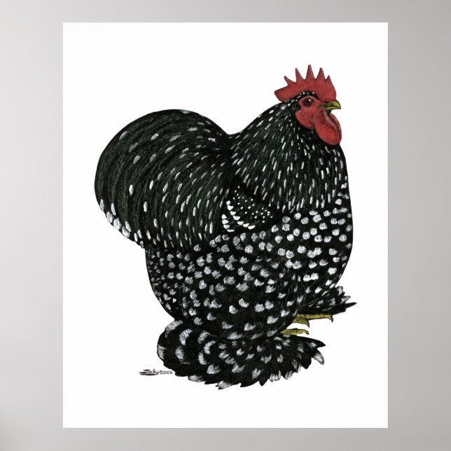 Affiches Cochin : Motte noire (Devant)