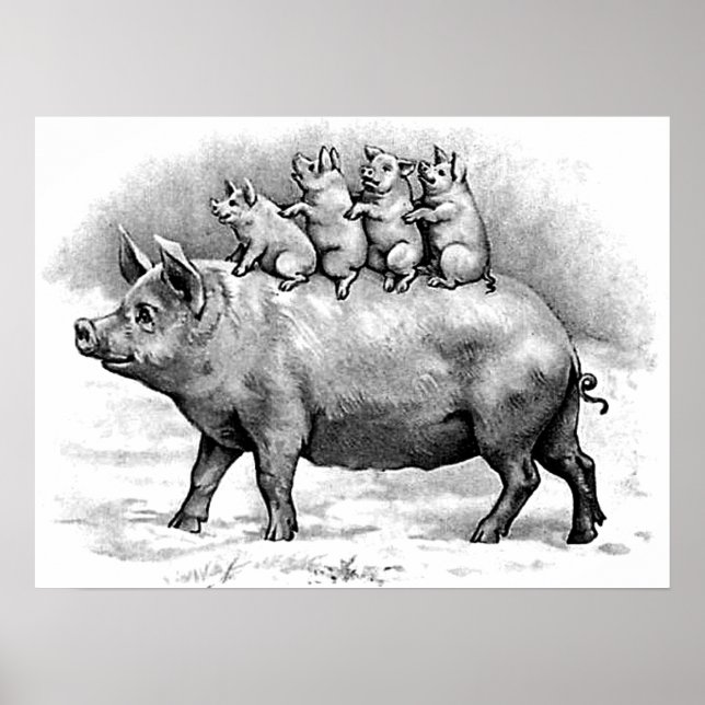 Affiches Cochon avec porcelet (Devant)