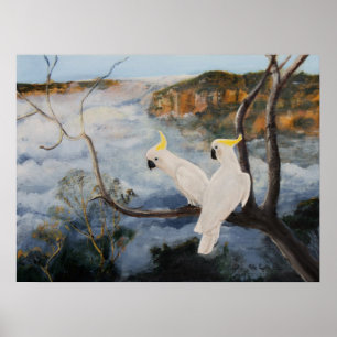 Affiches Cockatoos à poitrine de soufre dans les montagnes