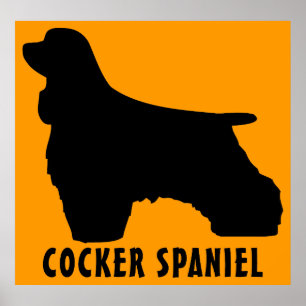 Affiches Cocker Spaniel