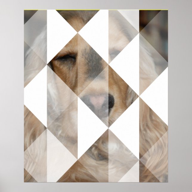 Affiches Cocker Spaniel (Devant)