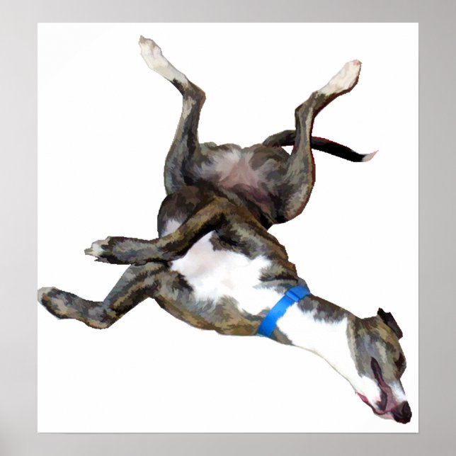 Affiches Cockroaching (Devant)