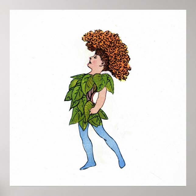 Affiches Cocks-Comb (Devant)