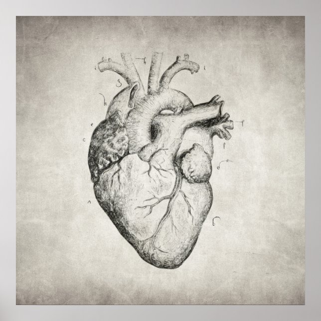 Affiches Coeur (Devant)