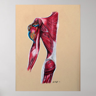 Affiches Coeur à manches