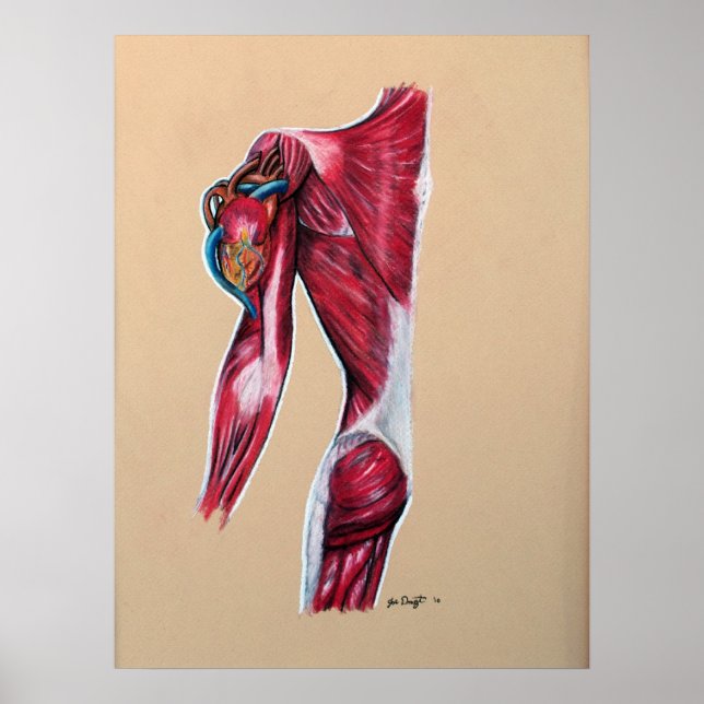 Affiches Coeur à manches (Devant)