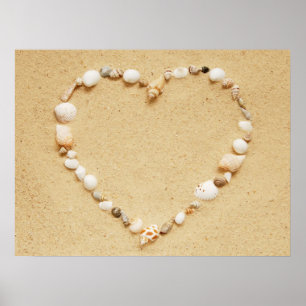Affiches Coeur de coquillage