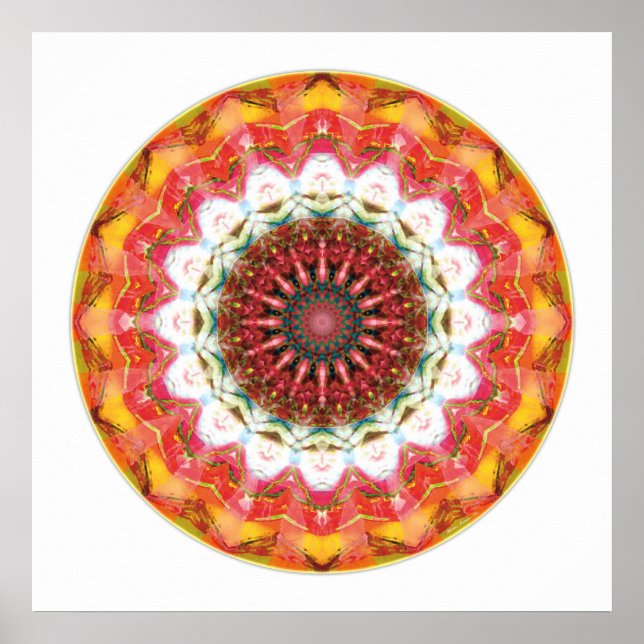 Affiches Coeur de la restitution Mandala 1 (Devant)