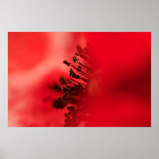 Affiches Coeur de papy (Devant)