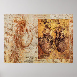 Affiches Coeur Et Ses Bateaux De Sang / Artères Bronchiques