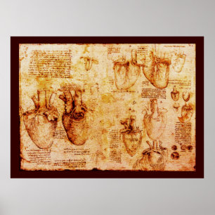 Affiches Coeur Et Ses Vaisseaux De Sang, Toile Brown