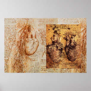Affiches Cœur et ses vaisseaux sanguins / Artères bronchiqu