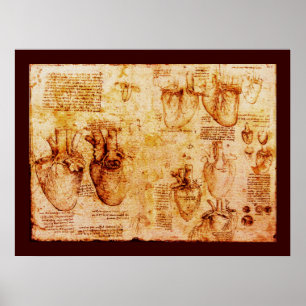 Affiches Cœur et ses vaisseaux sanguins, toile marron